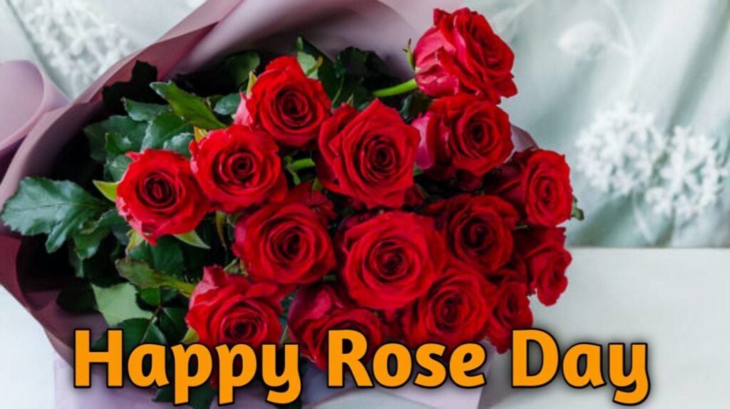 Rose Day quotes