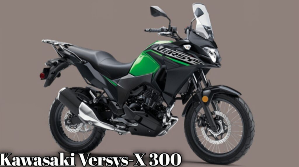 Kawasaki Versys-X 300